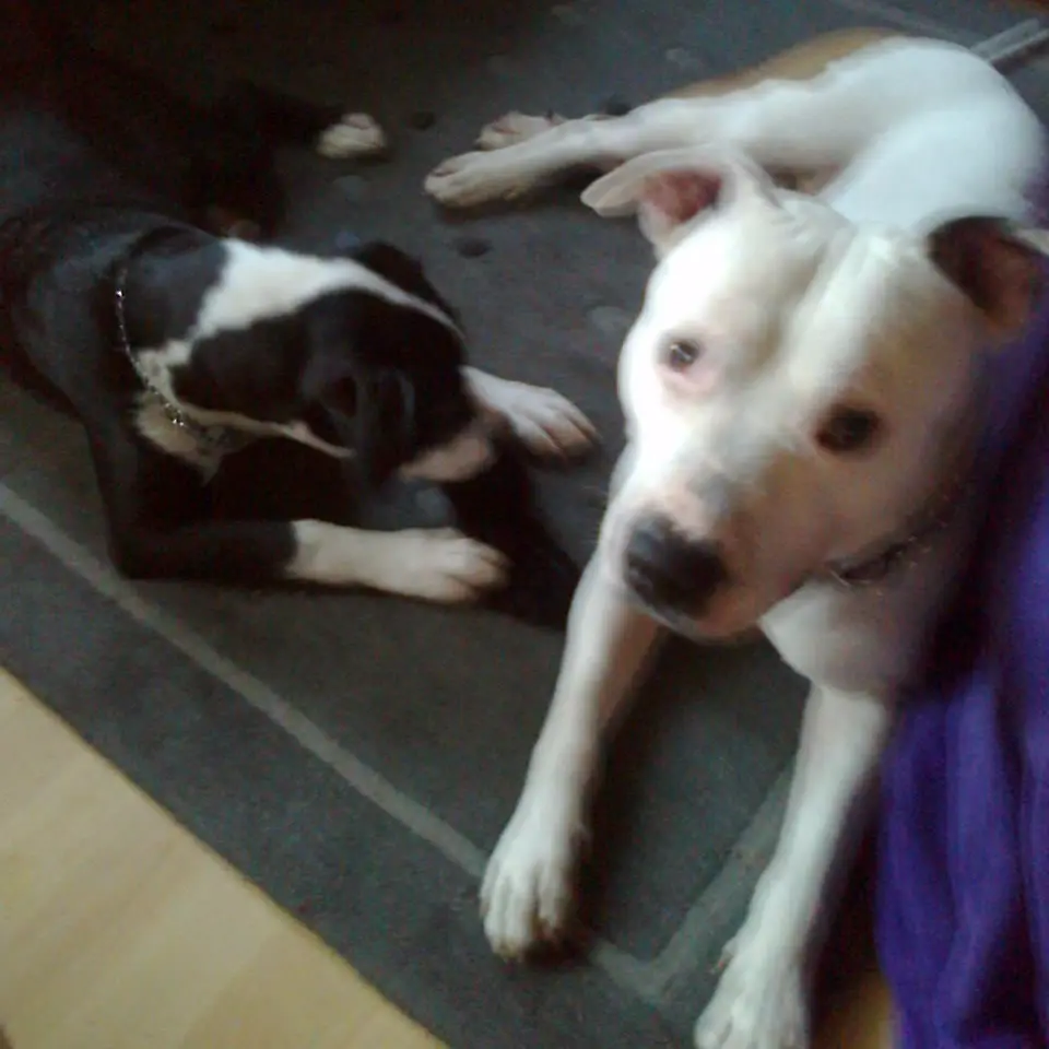 Condolence image of Olli und Sabine