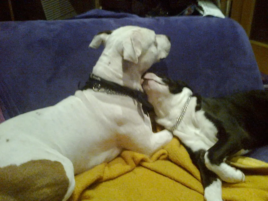 Condolence image of Olli und Sabine