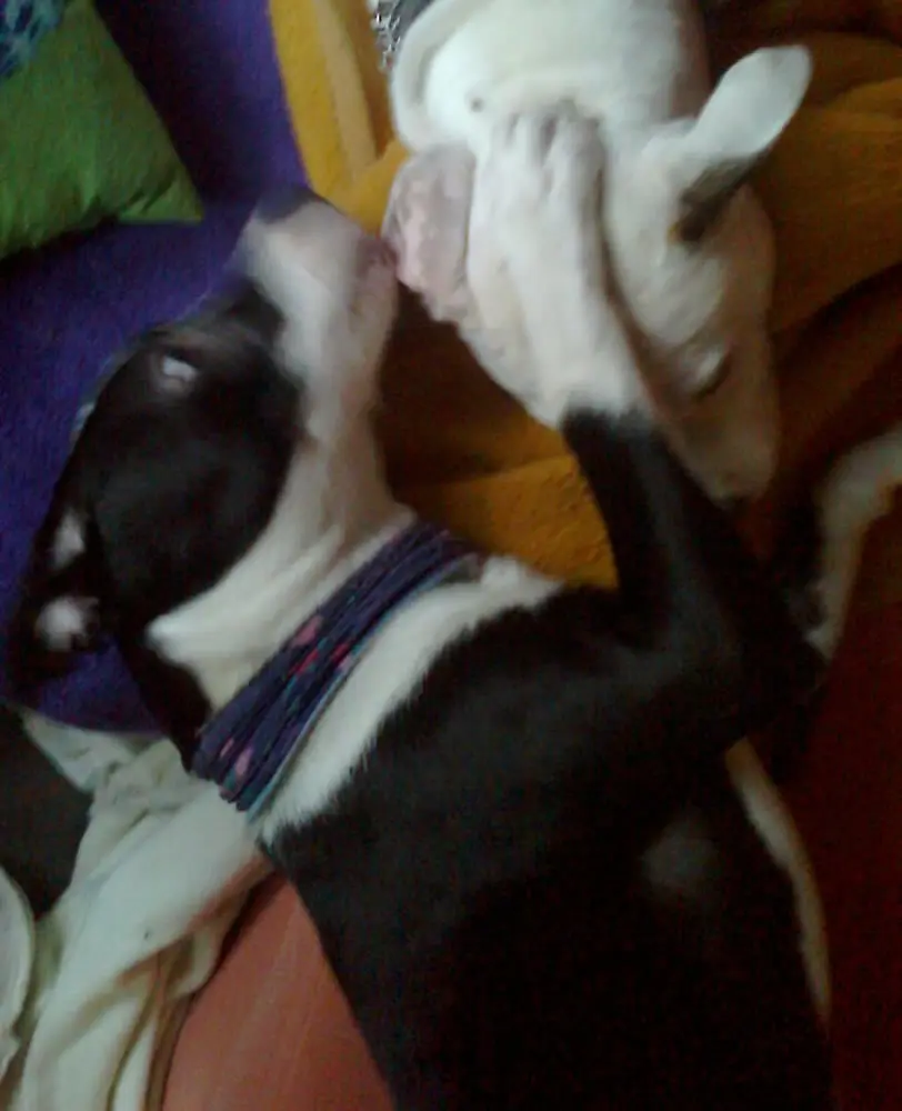 Condolence image of Olli und Sabine
