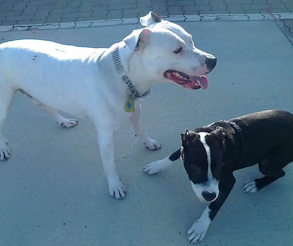 Condolence image of Olli und Sabine