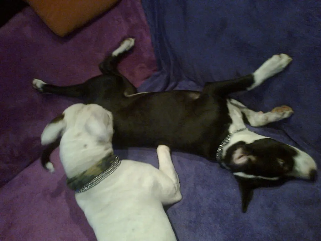 Condolence image of Olli und Sabine
