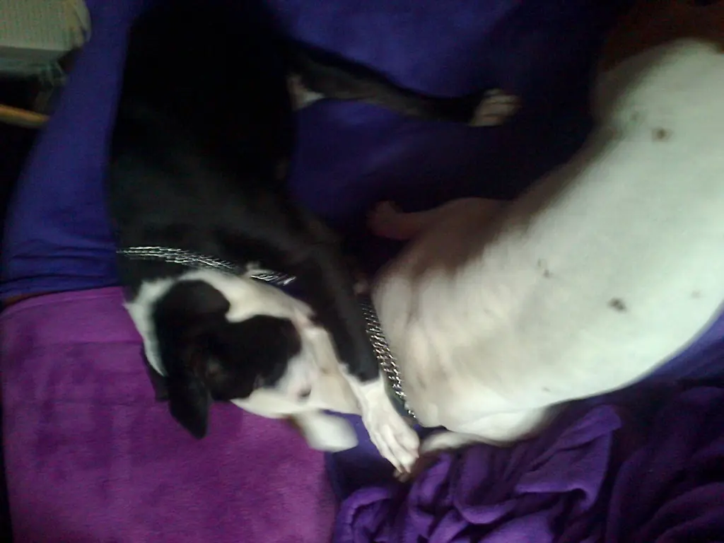 Condolence image of Olli und Sabine