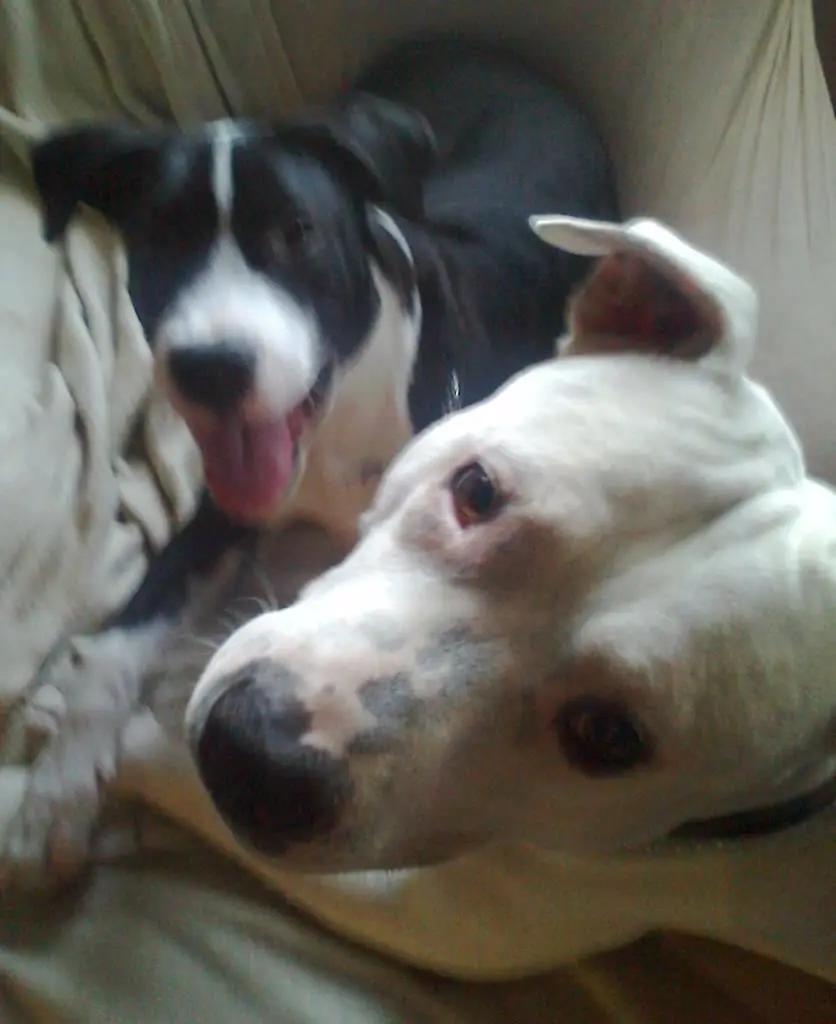 Condolence image of Olli und Sabine