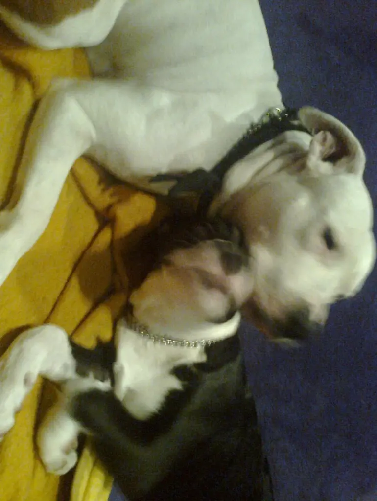 Condolence image of Olli und Sabine 
