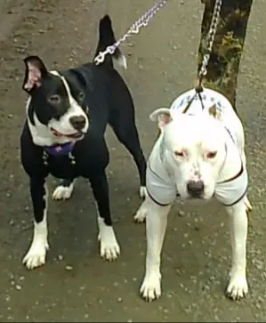 Condolence image of Olli und Sabine