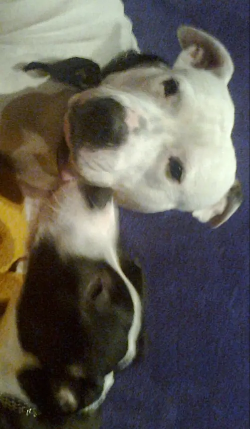 Condolence image of Olli und Sabine