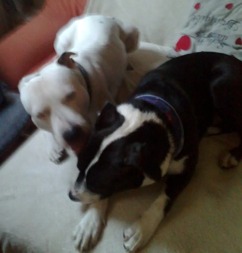 Condolence image of Olli und Sabine