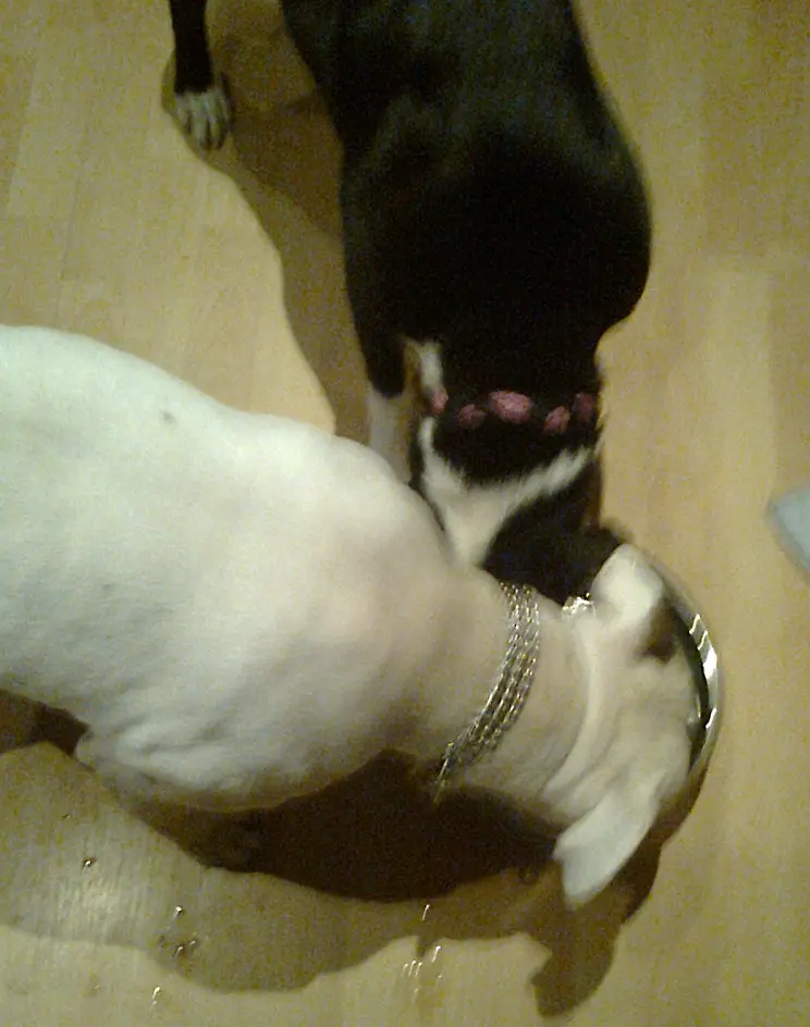 Condolence image of Olli und Sabine