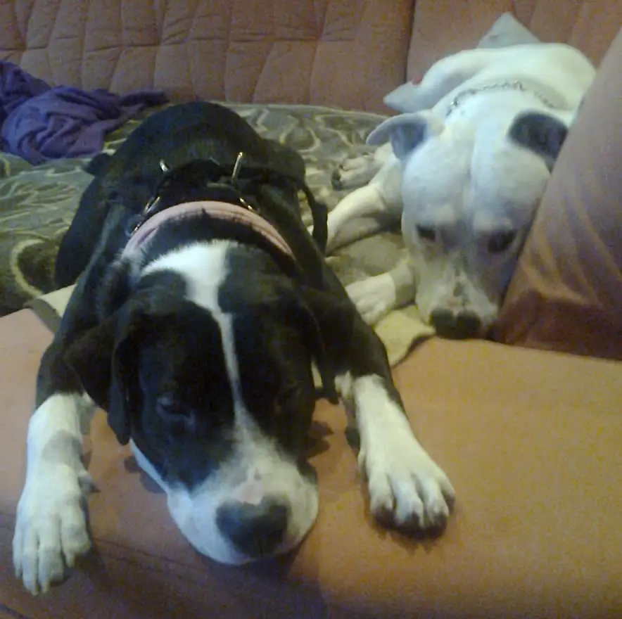 Condolence image of Olli und Sabine 