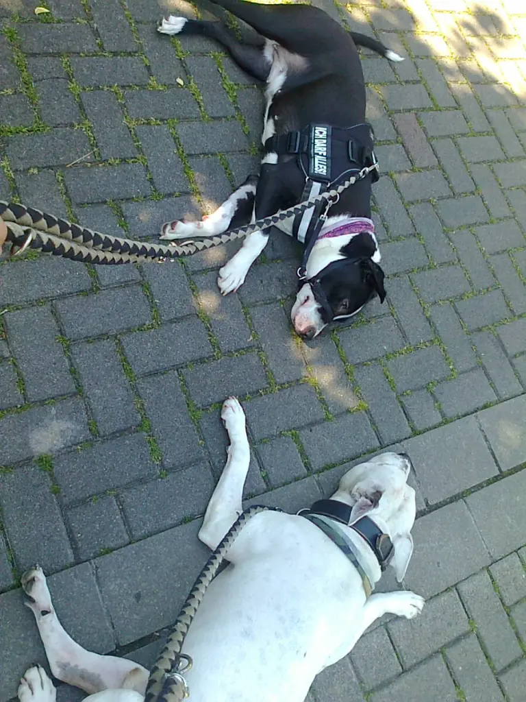 Condolence image of Sabine und Olli
