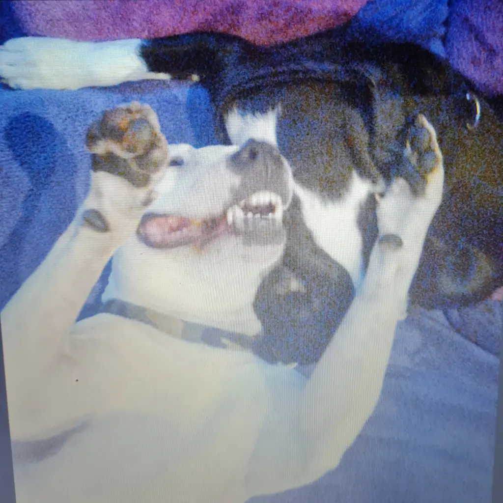Condolence image of Sabine und Olli