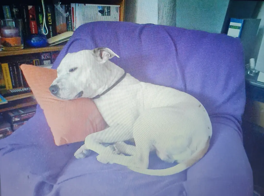 Condolence image of Sabine und Olli 