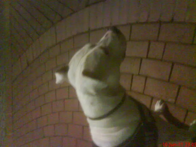 Condolence image of Sabine und Olli 