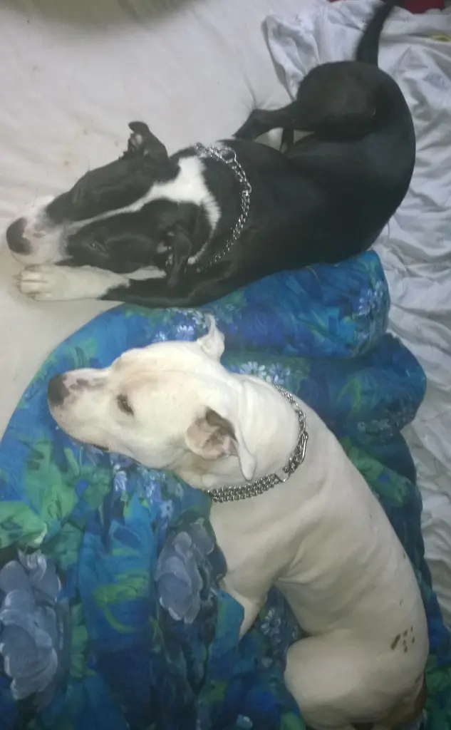 Condolence image of Sabine und Olli 