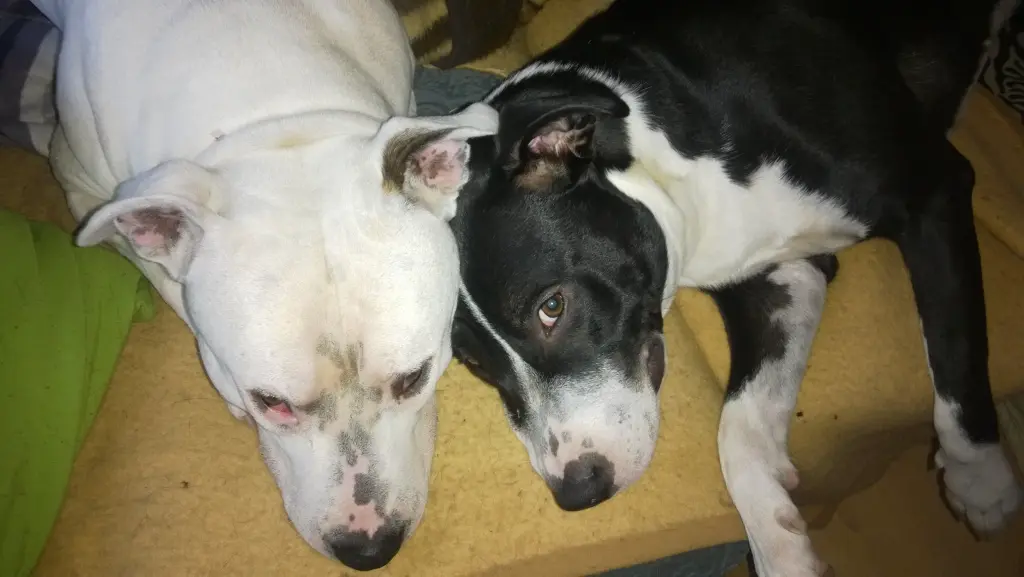 Condolence image of Sabine und Olli 