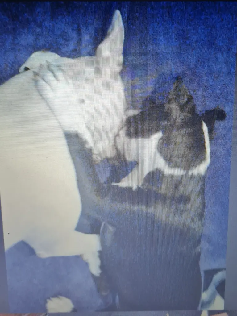 Condolence image of Sabine und Olli
