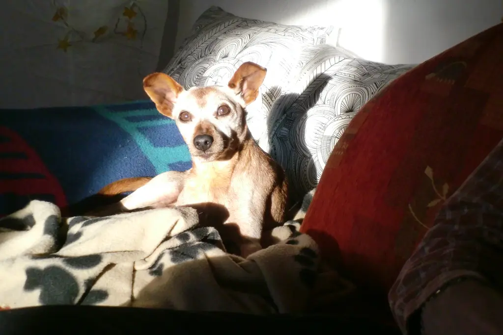 Condolence image of Jutta