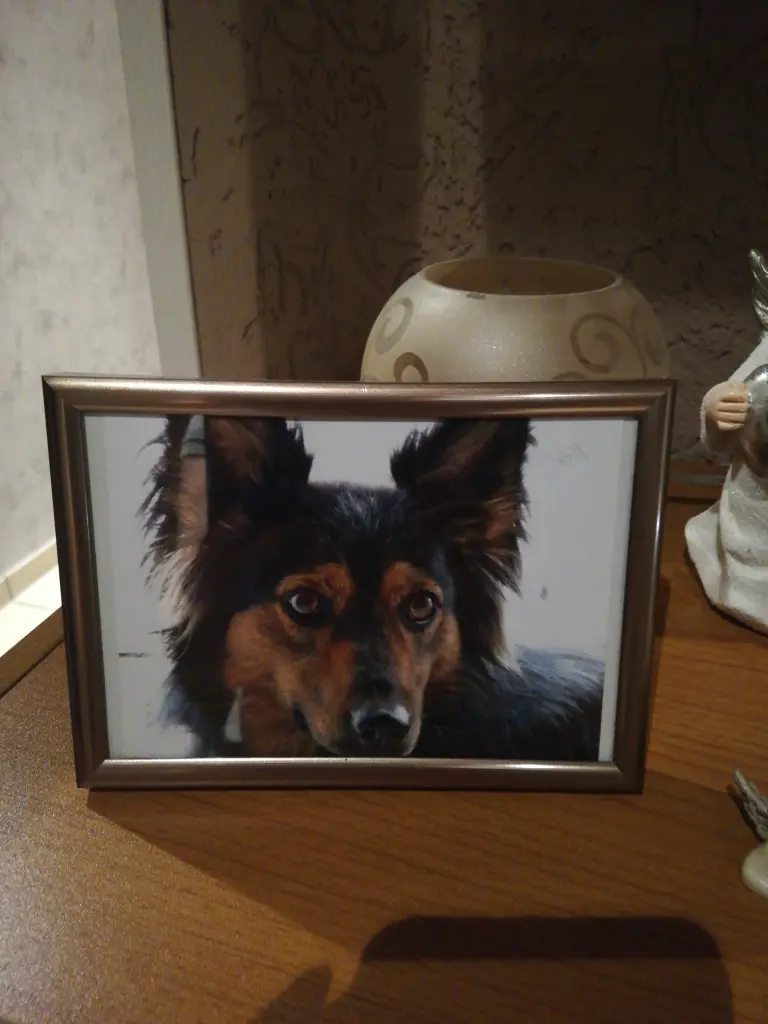 Condolence image of Bianca