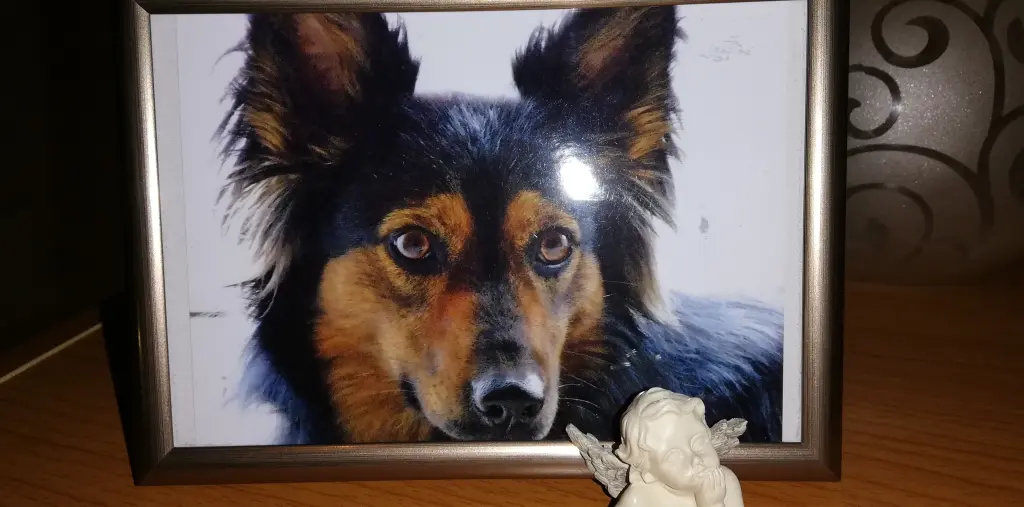 Condolence image of Bianca