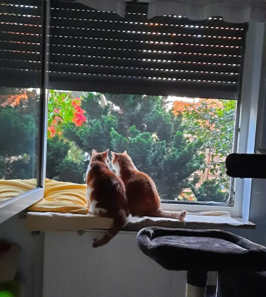 Condolence image of ❤️Deine Mutti Eike und Oma Edeltraud ❤️ 