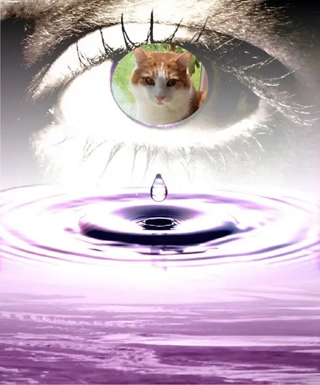 Condolence image of ❤️❤️❤️❤️❤️❤️❤️❤️❤️❤️❤️❤️