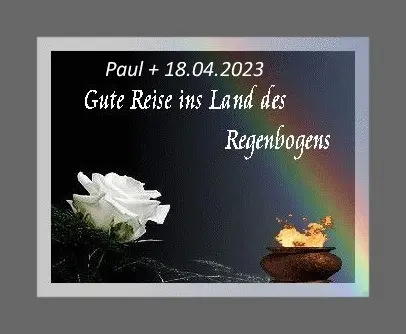 Condolence image of Sabine mit Kaspar & Jessy tief im Herzen❤️☆ ¸.•*¨*•.