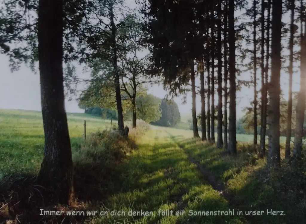 Condolence image of Corinna mit Emma, Pummelchen und anderen Sternlein im ❤️