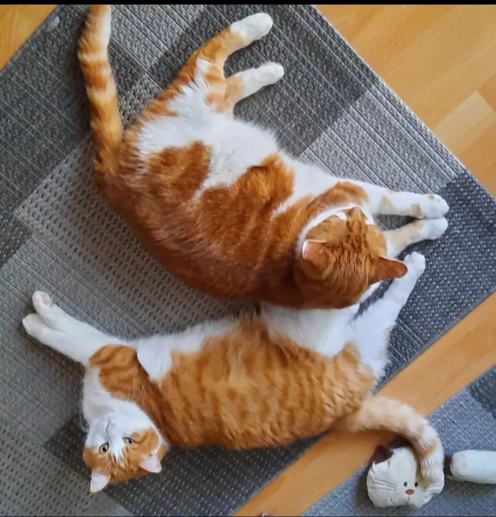 Condolence image of ❤️1 Woche❤️Deine Mutti und deine Oma ❤️ 