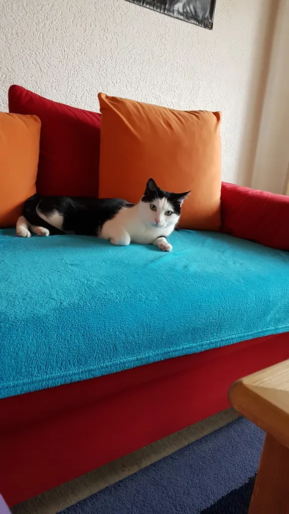 Condolence image of Tanja mit Rocky tief im ❤ gest.23.01.23