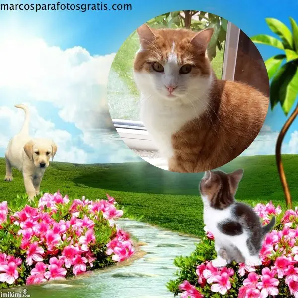 Condolence image of ❤️❤️❤️❤️❤️❤️❤️❤️❤️❤️❤️❤️