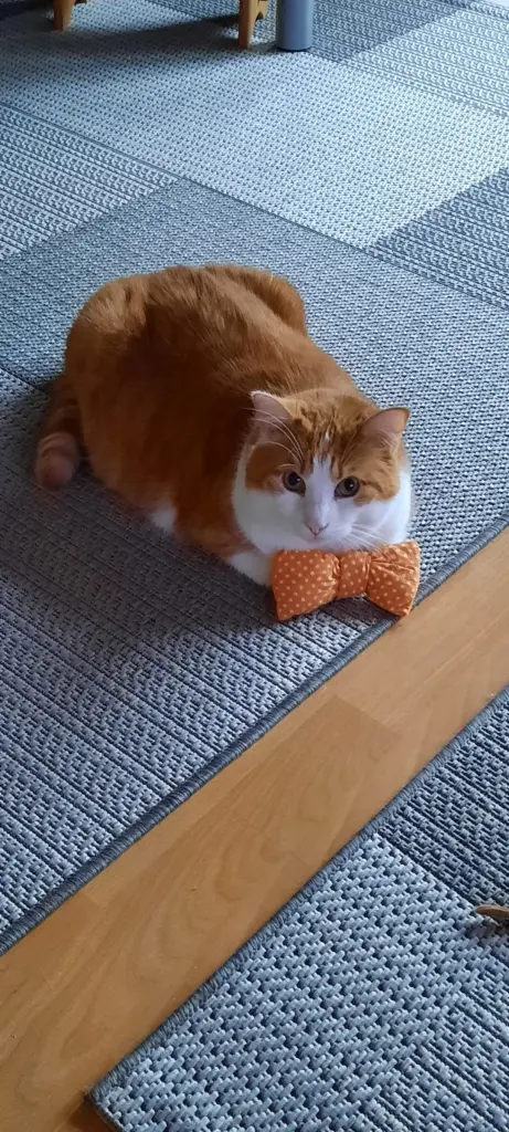 Condolence image of ❤️2 Wochen ❤️Deine Mutti und deine Oma ❤️