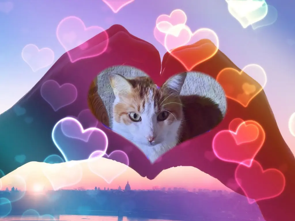 Condolence image of ❤️❤️❤️❤️❤️❤️❤️❤️❤️❤️❤️❤️