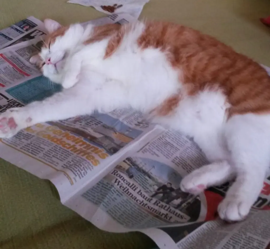 Condolence image of ❤️5 Wo❤️Deine Mutti und deine Oma ❤️ 