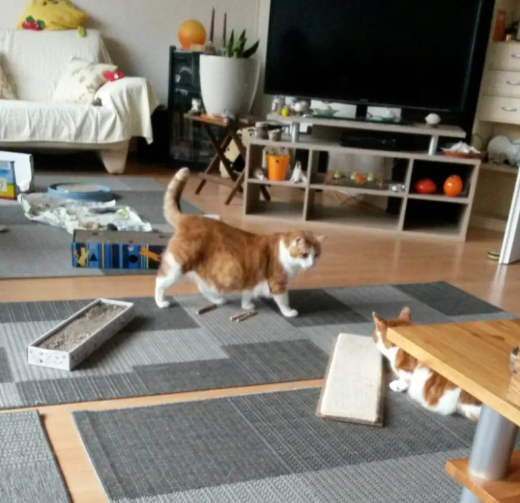 Condolence image of ❤️Deine Mutti und deine Oma ❤️