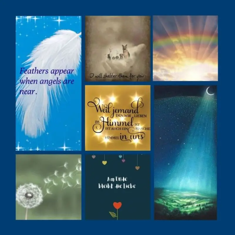 Condolence image of Eine Sonnenrose für Pauli