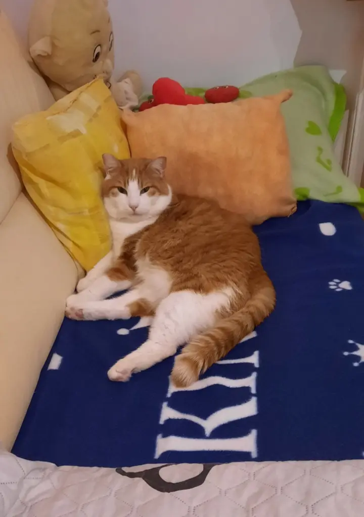 Condolence image of ❤️2 Mo❤️Deine Mutti und deine Oma ❤️