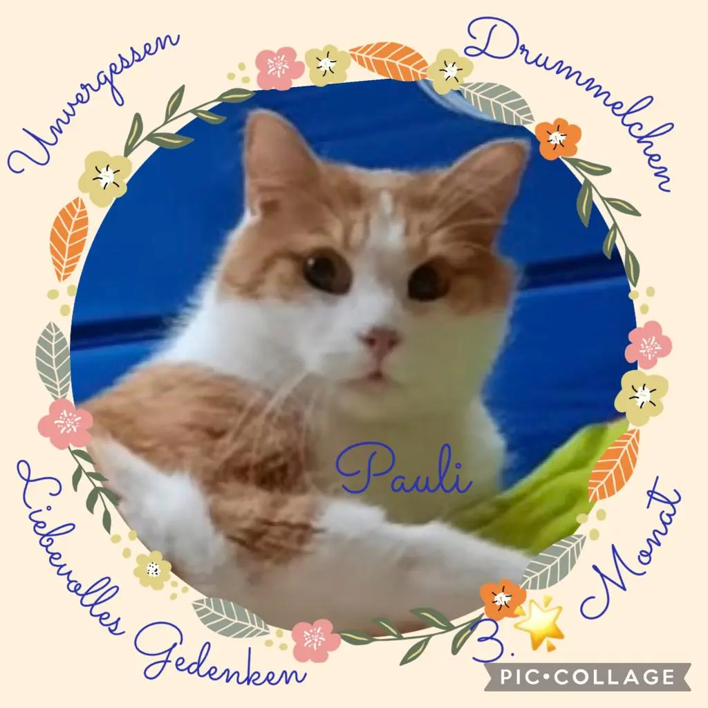 Condolence image of ❤️3 Mo❤️Deine Mutti und deine Oma ❤️ 