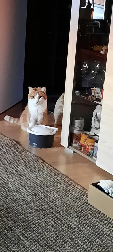 Condolence image of ❤️4 Mo❤️Deine Mutti und deine Oma ❤️