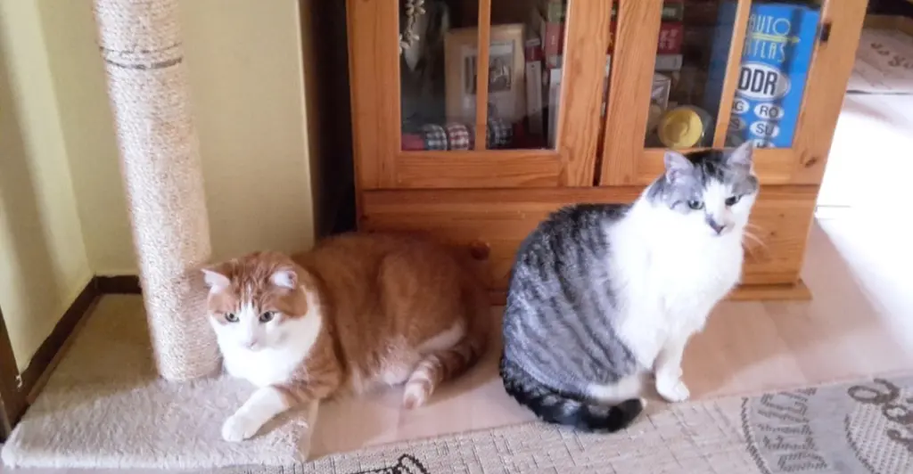 Condolence image of ❤️18 Wo❤️Deine Mutti und deine Oma ❤️