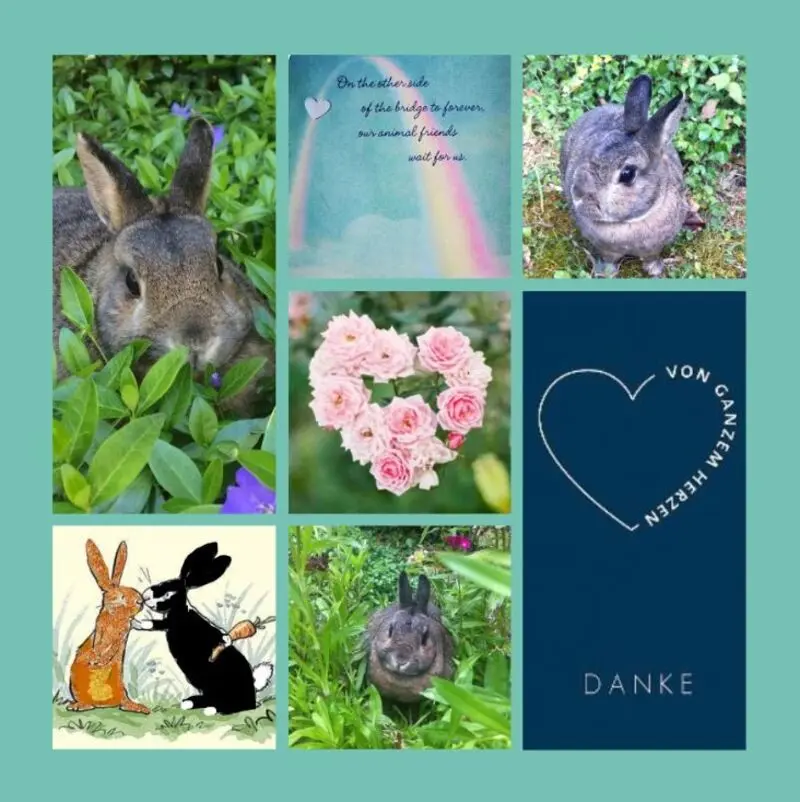 Condolence image of Drina und Pauline sagen DANKE