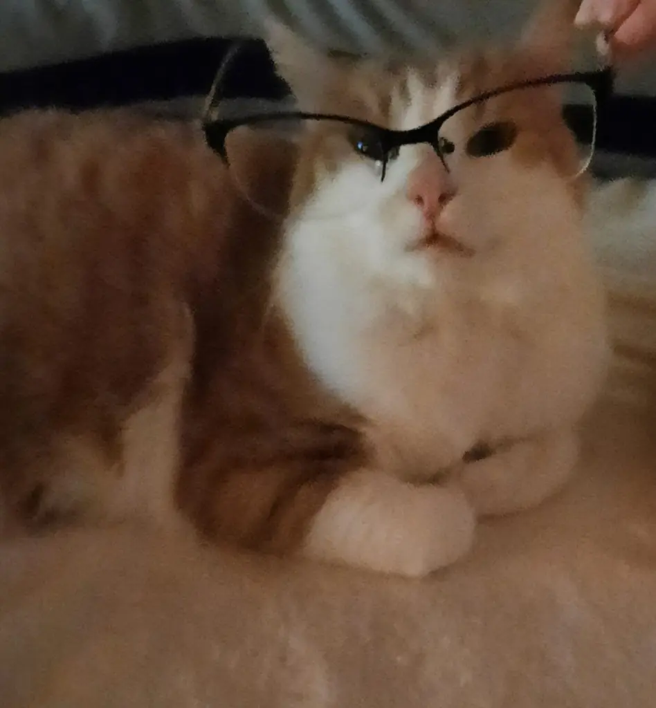 Condolence image of ❤️20 Wo❤️Deine Mutti und deine Oma ❤️