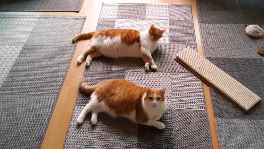 Condolence image of ❤️21 Wo ❤️Deine Mutti und deine Oma ❤️