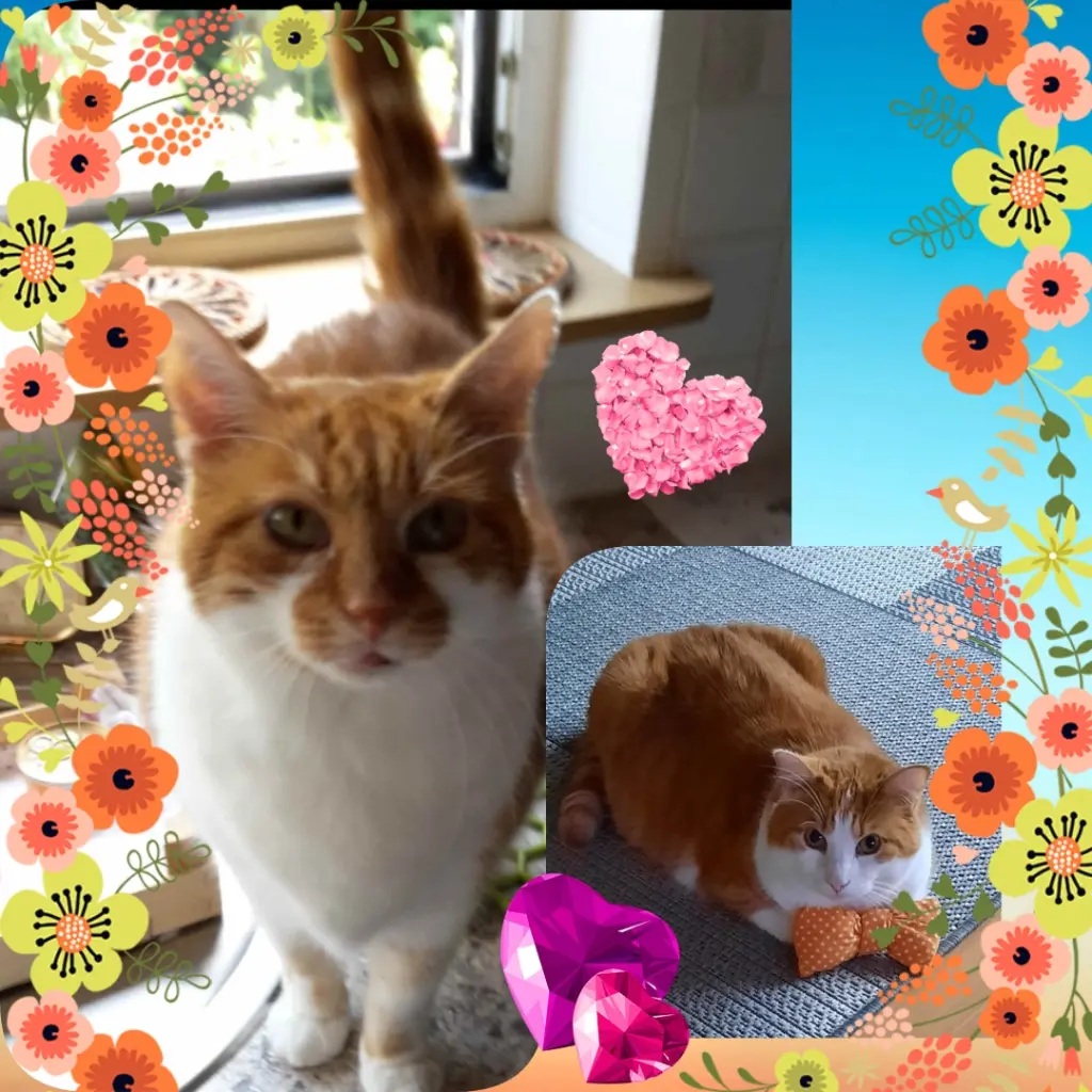 Condolence image of ❤️5 Mo❤️Deine Mutti und deine Oma ❤️ 