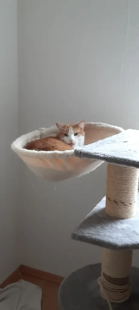 Condolence image of ❤️22 Wo❤️Deine Mutti und deine Oma ❤️ 