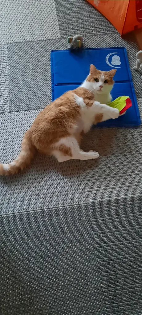 Condolence image of ❤️23 Wo❤️Deine Mutti und deine Oma ❤️ 