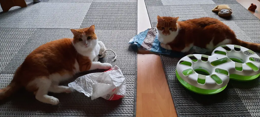 Condolence image of ❤️24 Wo❤️Deine Mutti und deine Oma ❤️ 