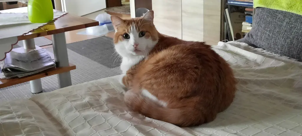 Condolence image of ❤️25 Wo❤️Deine Mutti und deine Oma ❤️ 