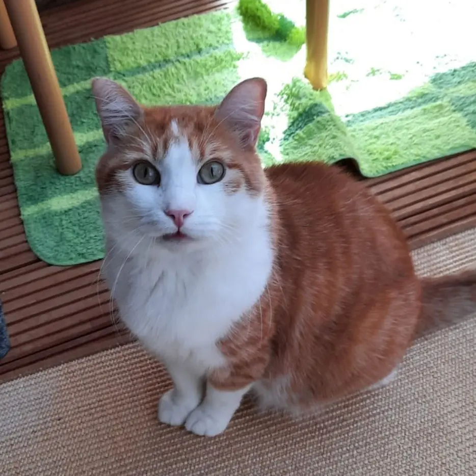 Condolence image of ❤️26 Wo❤️Deine Mutti und deine Oma ❤️