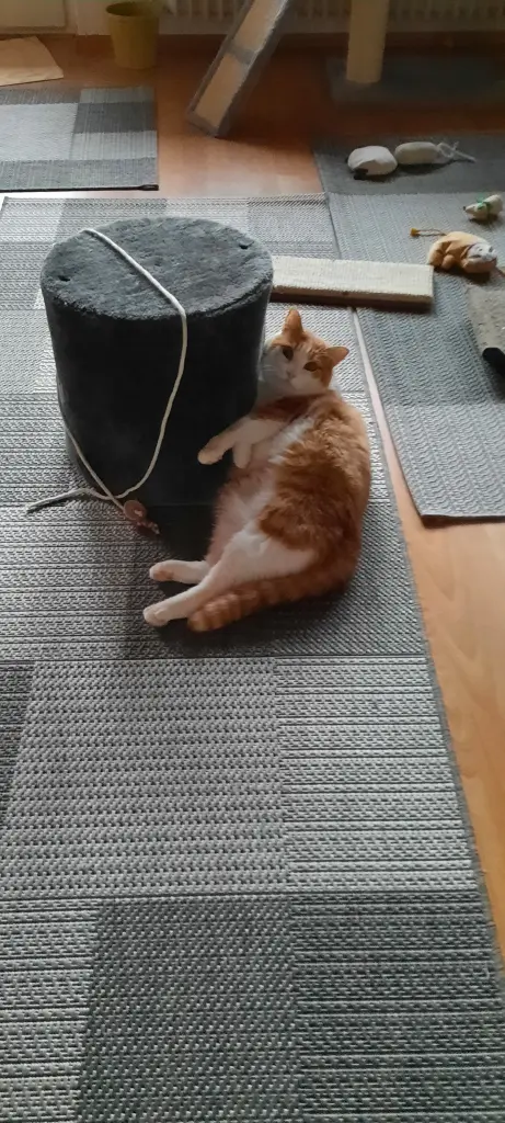 Condolence image of ❤️6 Mo❤️Deine Mutti und deine Oma ❤️