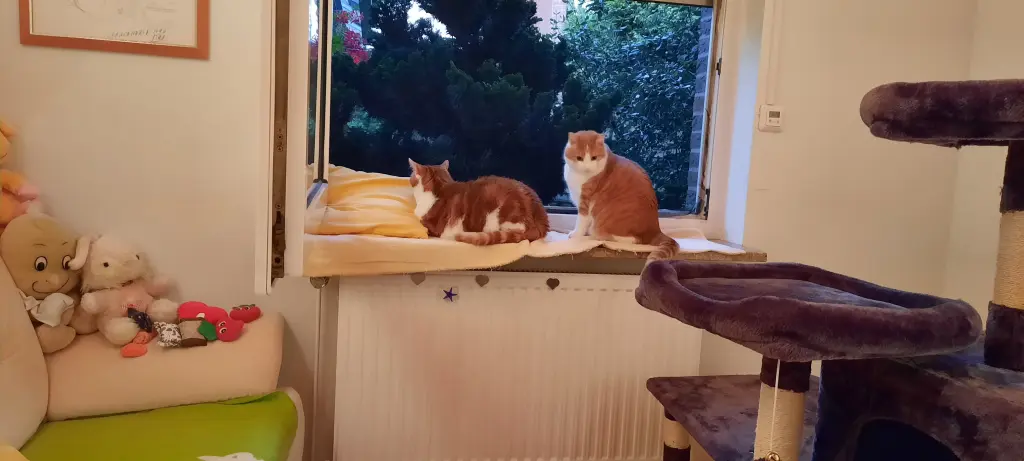 Condolence image of ❤️27 Wo❤️Deine Mutti und deine Oma ❤️